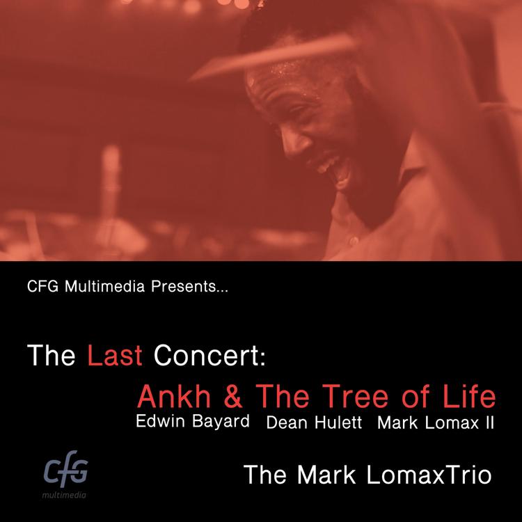 Mark Lomax Trio's avatar image