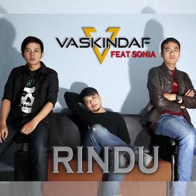 Vaskindaf's cover