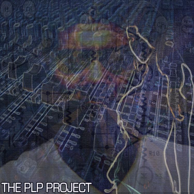 The PLP Project's avatar image