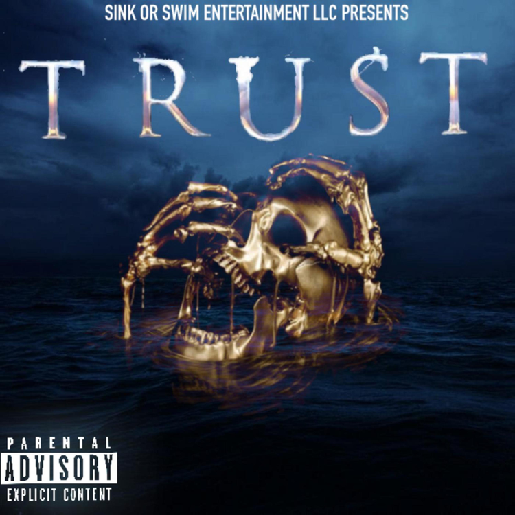 Sink Or Swim Ent LLC's avatar image