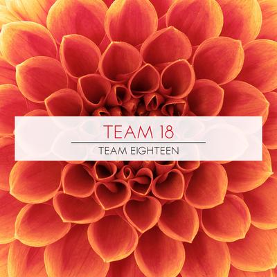 Looking for Something (Indra Remix) By Team 18's cover