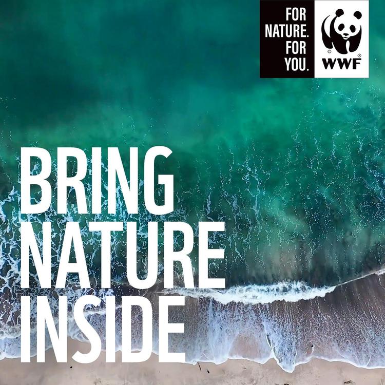 WWF South Africa's avatar image