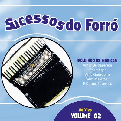 Amor Escondido (Ao Vivo) By Banda Magníficos's cover