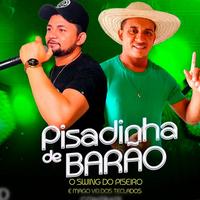 Pisadinha De Barão's avatar cover