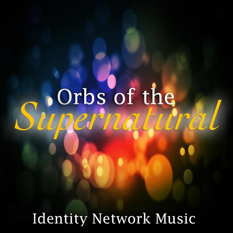 Identity Network Music's avatar image