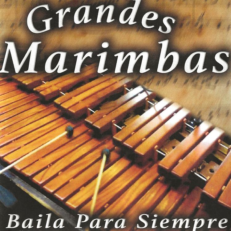 Grandes Marimbas's avatar image