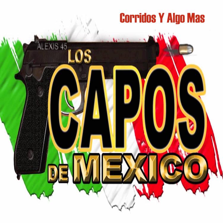 Los Capos's avatar image