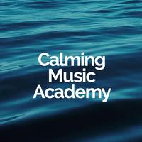 Calming Music Academy's avatar cover