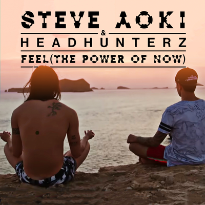 Feel (The Power Of Now) By Steve Aoki, Headhunterz's cover