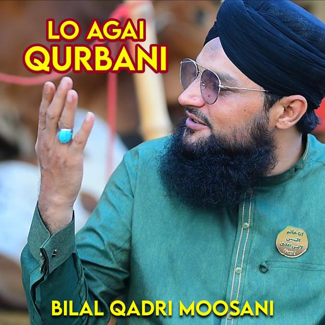 Bilal Qadri Moosani's avatar image