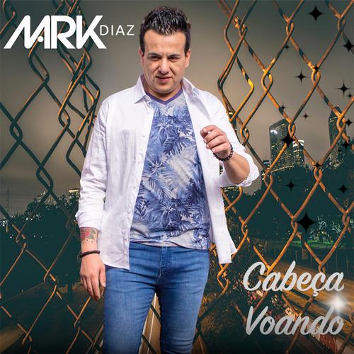 Música no carro(sertanejo)'s cover