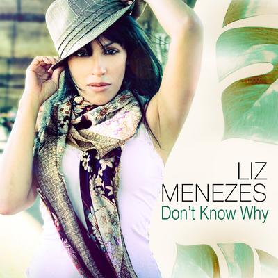 Don't Know Why (Bossa Version) By Liz Menezes's cover