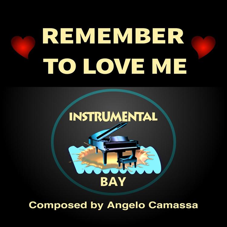 Instrumental Bay's avatar image