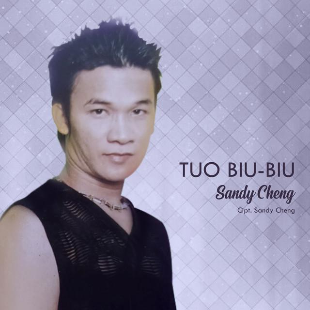 Sandy Cheng's avatar image