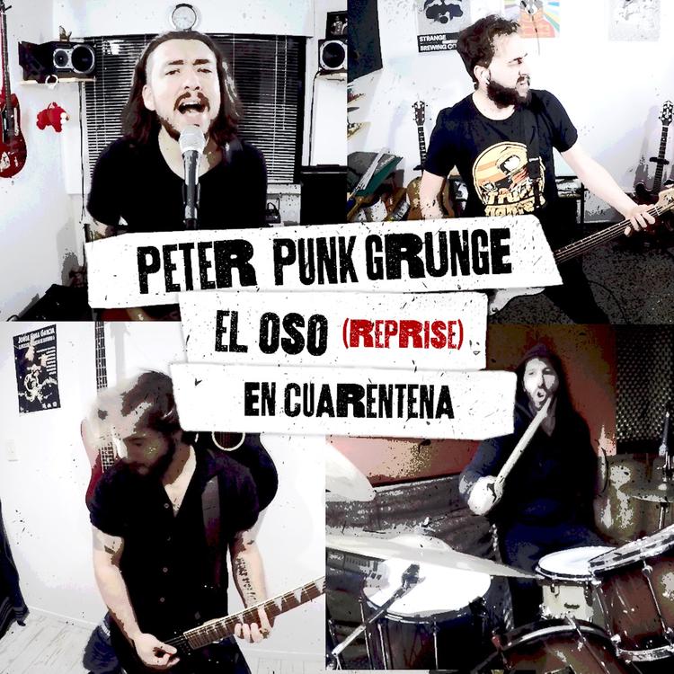 Peter Punk Grunge's avatar image