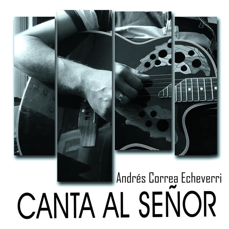 Andres Correa Echeverri's avatar image