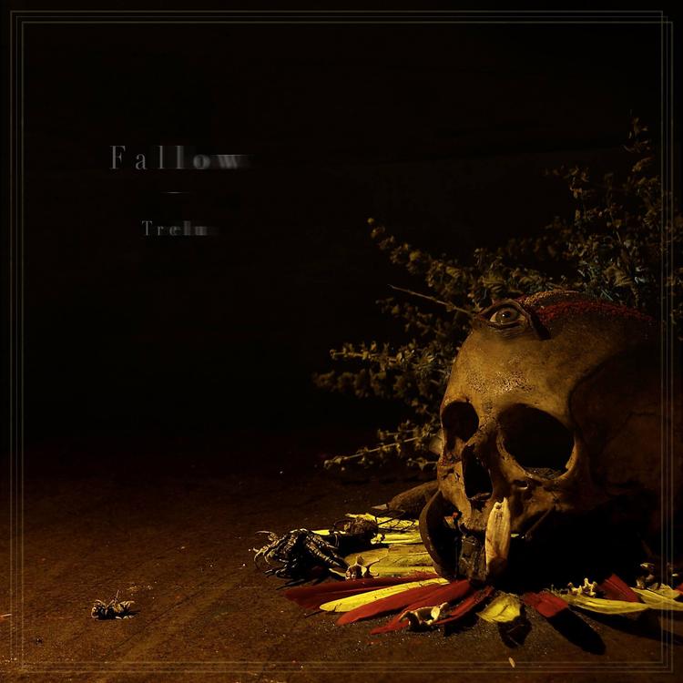 Fallow's avatar image