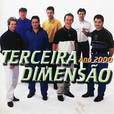 Não Deu Pra Esquecer By Terceira Dimensão's cover