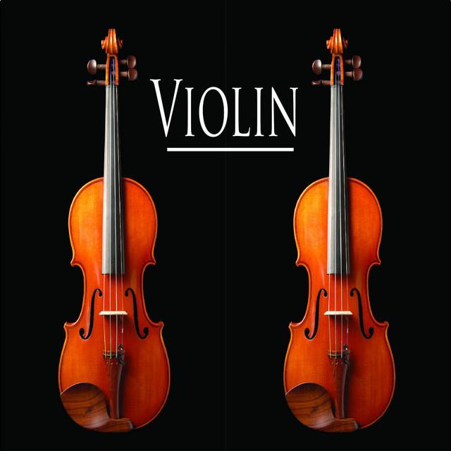 Violin's avatar image