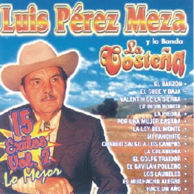 Luis Pérez Meza Y La Banda La Costeña - 15 Éxitos Vol. 2 - Lo Mejor's cover