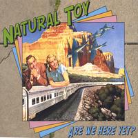 Natural Toy's avatar cover