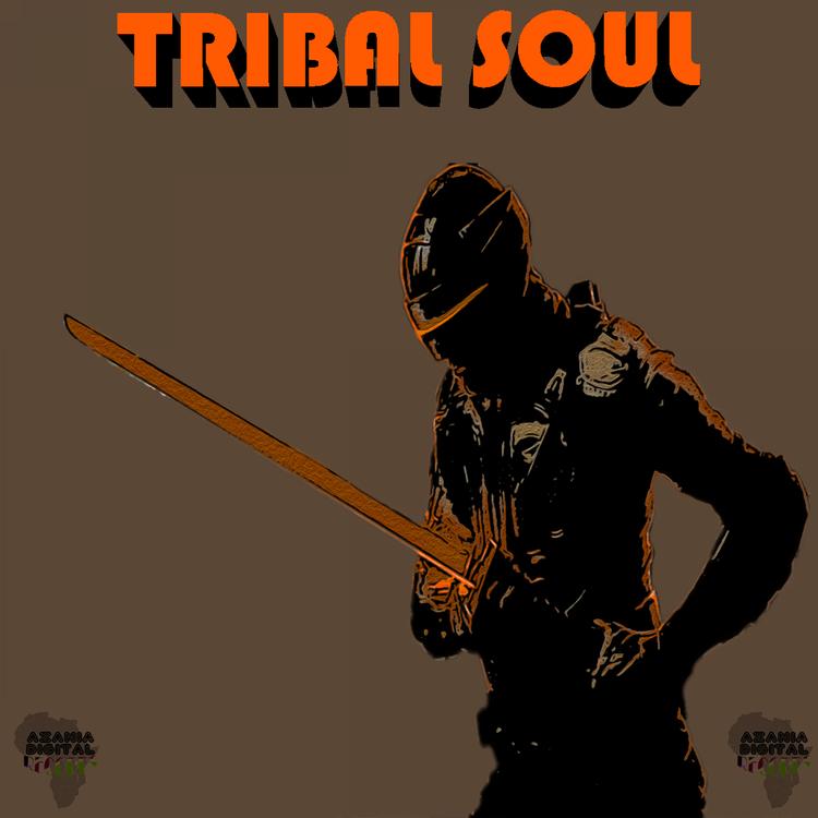 Tribal Soul's avatar image