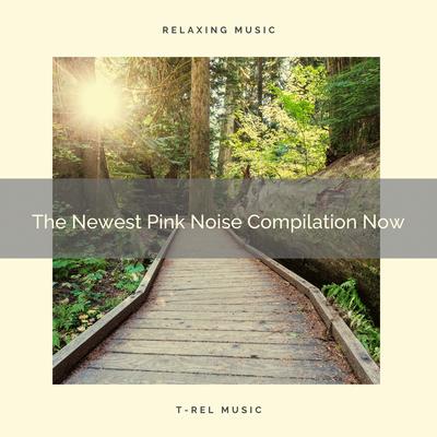 The Newest Pink Noise Compilation Now's cover