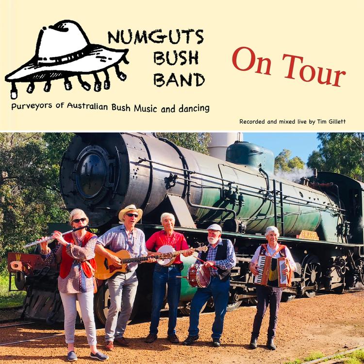 Numguts Bush Band's avatar image