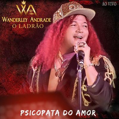 O Ladrão/Psicopata Do Amor  By Wanderley Andrade's cover