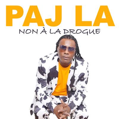 PAJ LA's cover