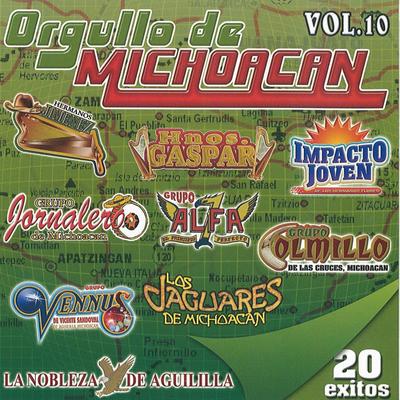 Orgullo De Michoacan's cover