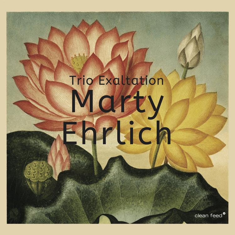 Marty Ehrlich's avatar image