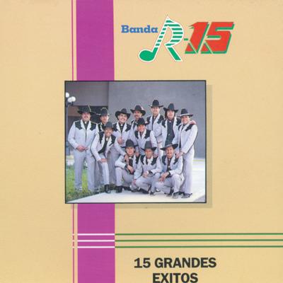 Banda R-15's cover