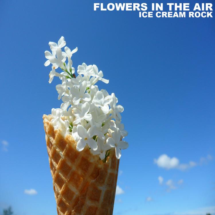 Flowers In The Air's avatar image