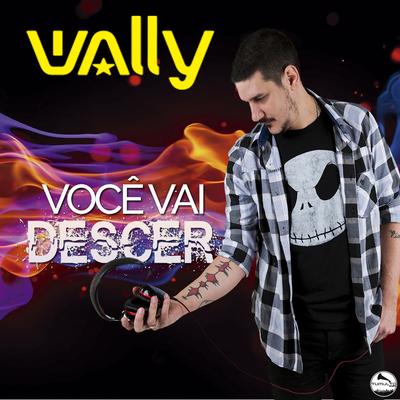 Hoje Eu Vou Favoritar By DJ Wally, Leandrinho Tigrao, Mc Bola, Ludmilla, Chilleno, Márcio G's cover