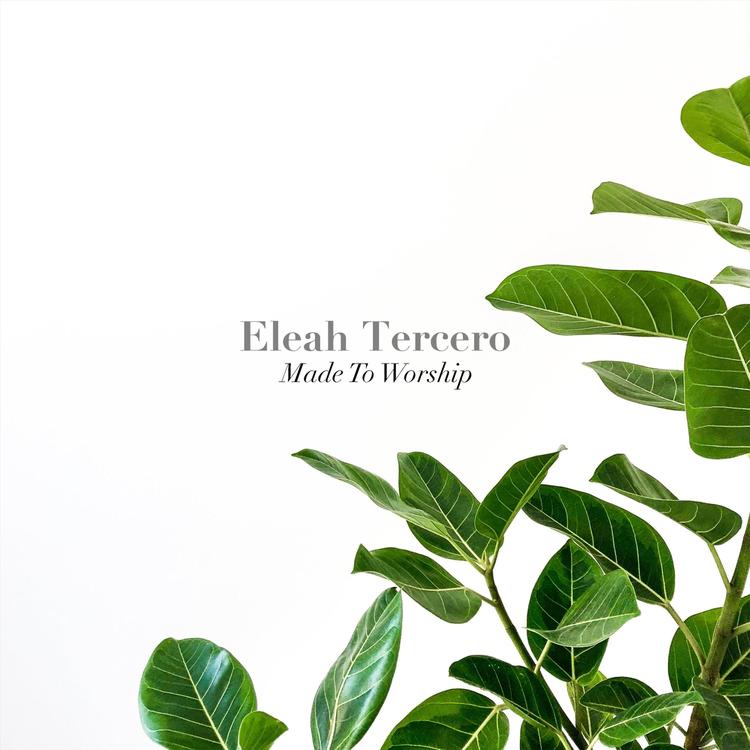 Eleah Tercero's avatar image