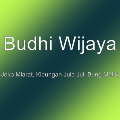 Budhi Wijaya's cover