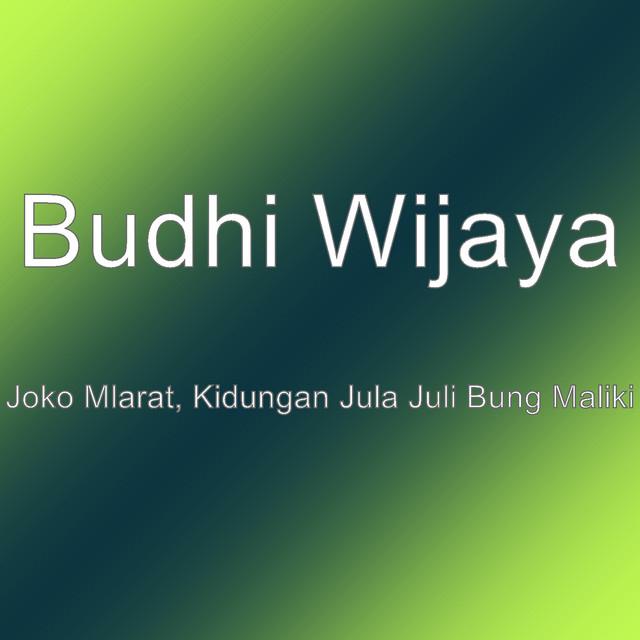 Budhi Wijaya's avatar image