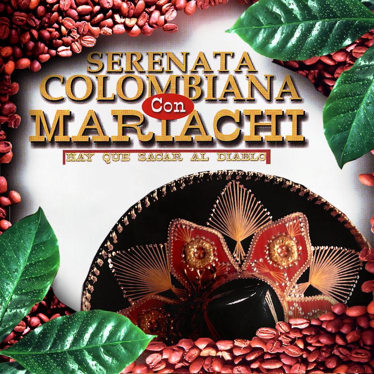 Mariachi Monterrey's avatar image
