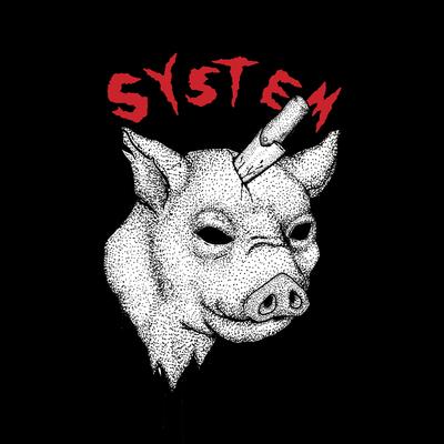 System's cover