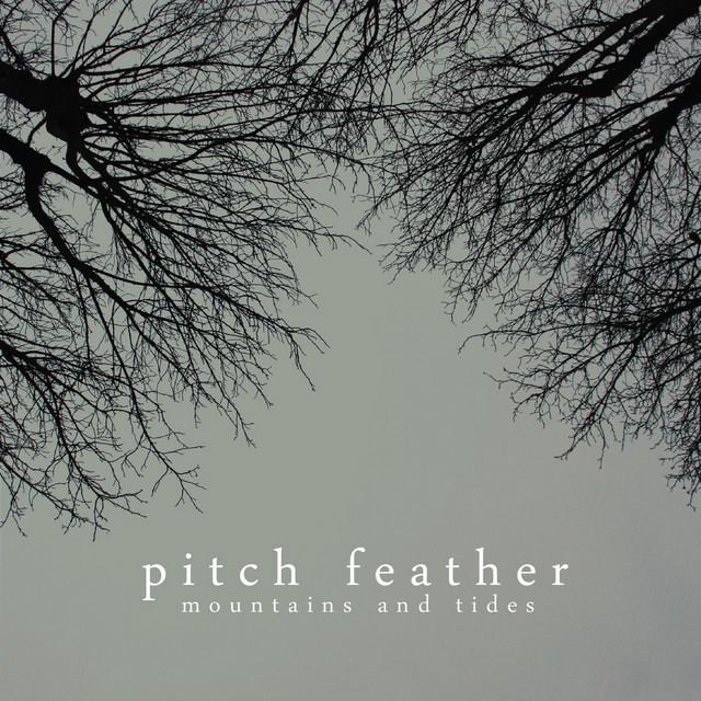 Pitch Feather's avatar image