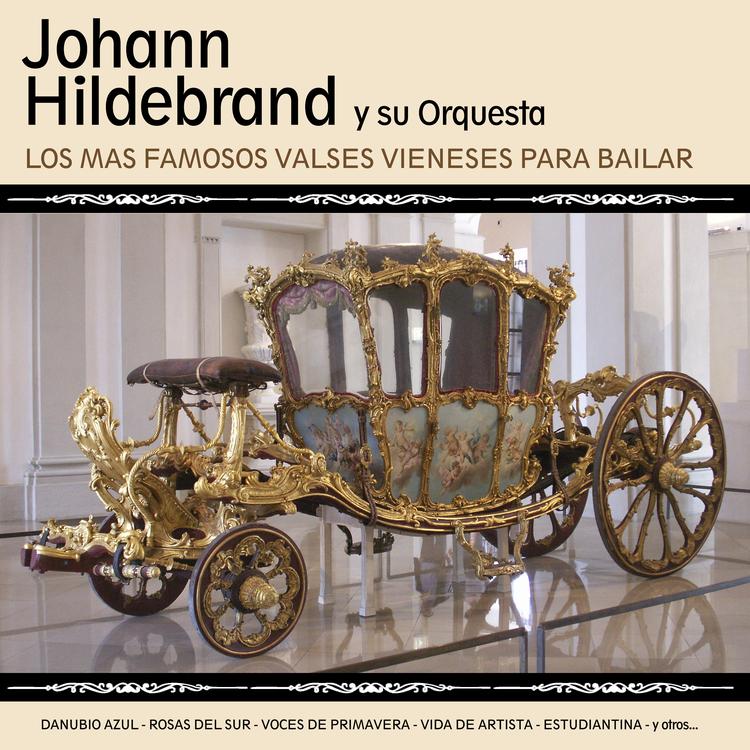 Johann Hildebrand y su Orquesta's avatar image