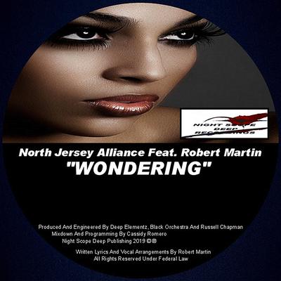 North Jersey Alliance's cover
