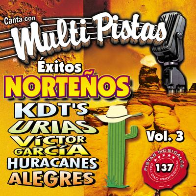 Canta Con Multi Pistas Exitos Norteños Vol. 3's cover