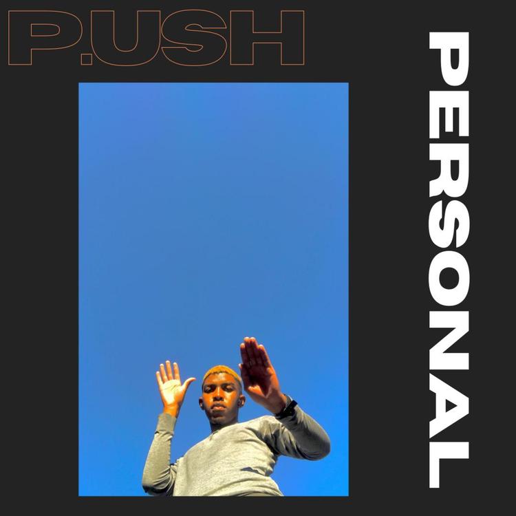 P.Ush's avatar image