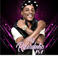 MC Ricardinho P.A's avatar cover