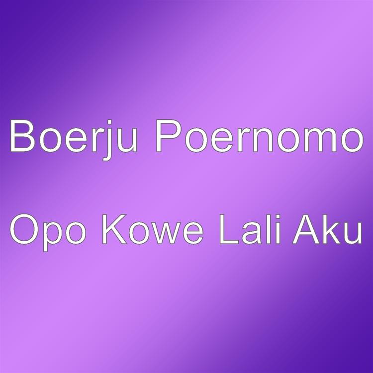 Boerju Poernomo's avatar image