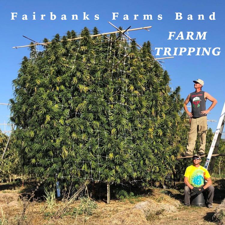 Fairbanks Farms Band's avatar image