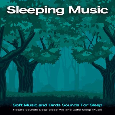 Sleeping Music with Nature Sounds By Sleeping Music, Deep Sleep Music Collective, Spa Music's cover