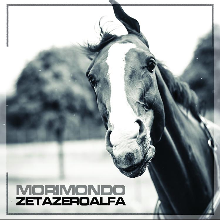 Zetazeroalfa's avatar image
